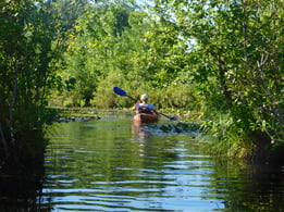 Kayaking on Jacobs pond.jpg