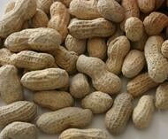 Stay safe with food allergies like peanuts with health life insurance from Andrew G Gordon Inc