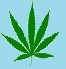 Pot Cannabis Leaf.png